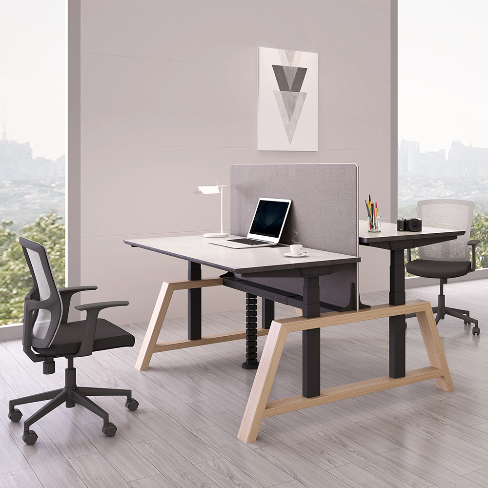 SENDI Adjustable Desk