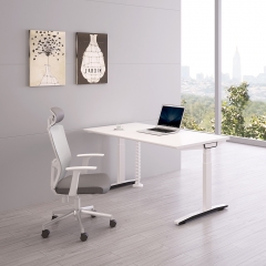 SENDI Office Adjustable Table
