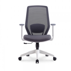 Staff Ergonomic Chair